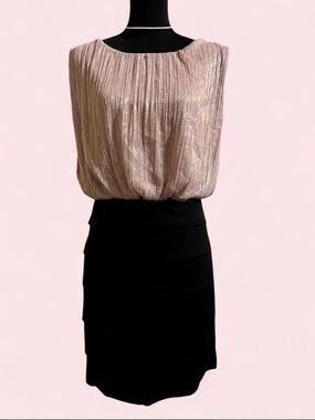 Enfocus Studio Blush Metallic Top with Black Pencil Skirt